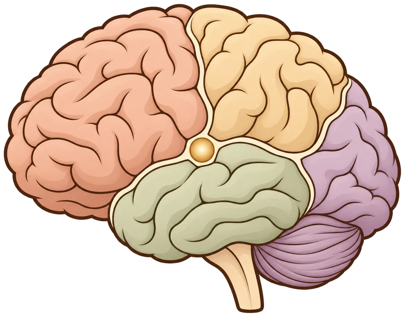 Japaate as the brain of your distribution: four areas around an AI core